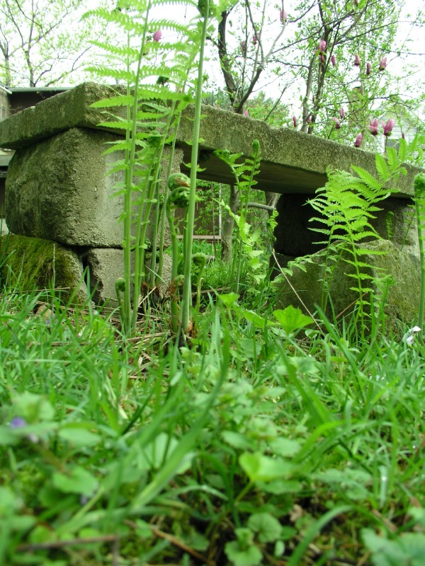 p4182380.jpg 189.3K