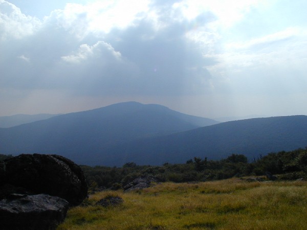 WhiteTop, viewed from Mt Rogers.jpg 40.8K