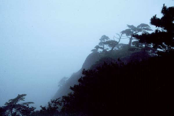 HuangShan, hiking, mist over trees and peaks.jpg 14.1K