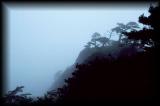 HuangShan, hiking, mist over trees and peaks.jpg 2.7K
