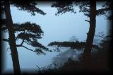 HuangShan, hiking, mist through trees.jpg 4.5K