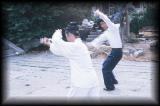 Yang SiLiang and young Taoist practice Taiji.jpg 4.3K