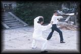 Yang SiLiang and young Taoist practice Taiji 6.jpg 4.4K