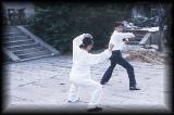 Yang SiLiang practicing taiji.jpg 4.5K
