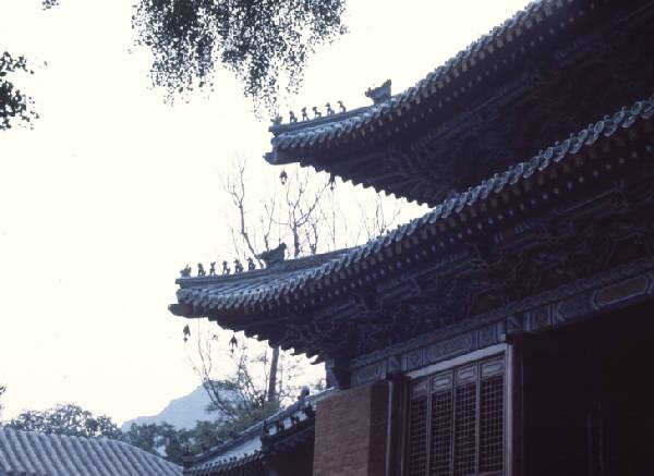 Shaolin monastery roof detail.jpg 31.0K