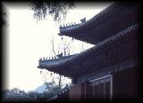Shaolin monastery roof detail.jpg 4.1K