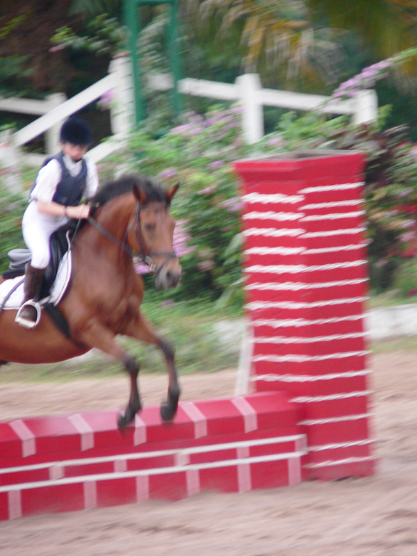 p1010485.jpg 159.7K