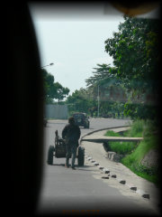 p1010337.jpg 19.5K