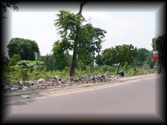 p1010417.jpg 39.6K