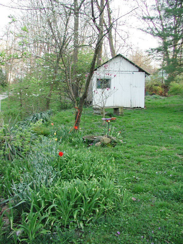 12backyard01.jpg 420.8K