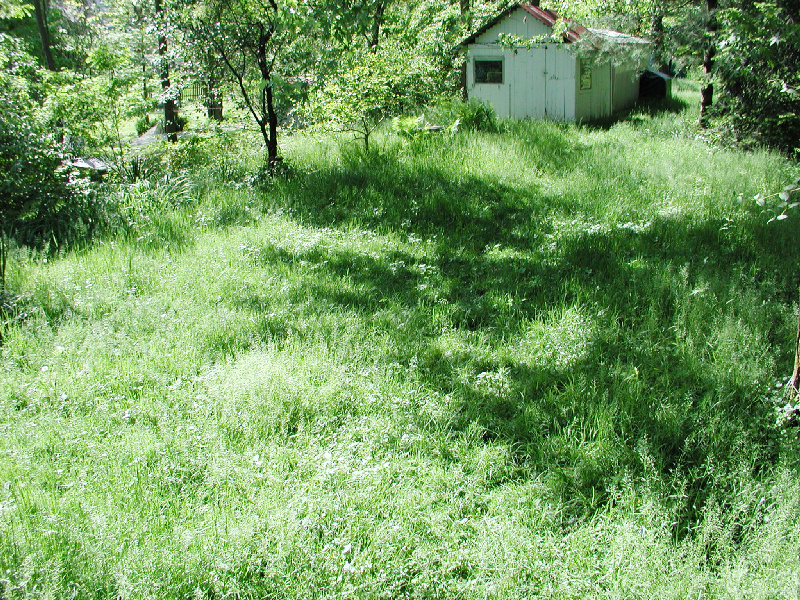 12backyard06.jpg 551.6K