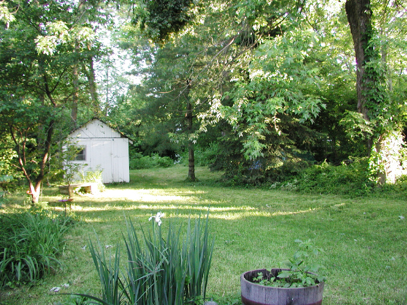 12backyard09.jpg 441.7K