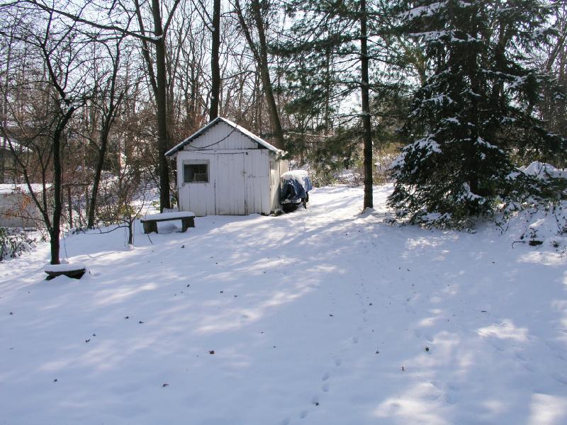12backyard10.jpg 307.1K