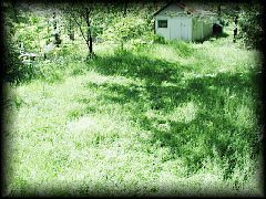 12backyard06.jpg 551.6k bytes
