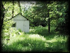 12backyard08.jpg 437.6k bytes