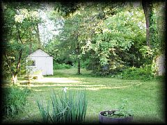 12backyard09.jpg 441.7k bytes