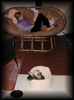kittens200201023.jpg 6.2K