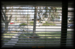 _mg_9677.jpg 32.0K