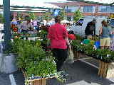 Click to see P6050137.jpg