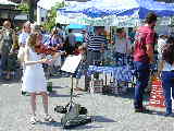 Click to see P6050140.jpg