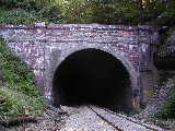 Click to see P7111360.jpg