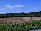 Click to see P7111363.jpg