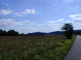 Click to see P7111366.jpg