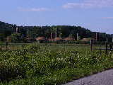 Click to see P7111377.jpg