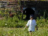 Click to see P7111381.jpg
