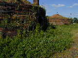 Click to see P7111385.jpg