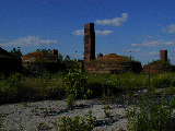 Click to see P7111386.jpg