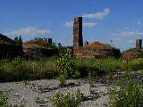 Click to see P7111387.jpg