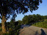 Click to see P7111422.jpg