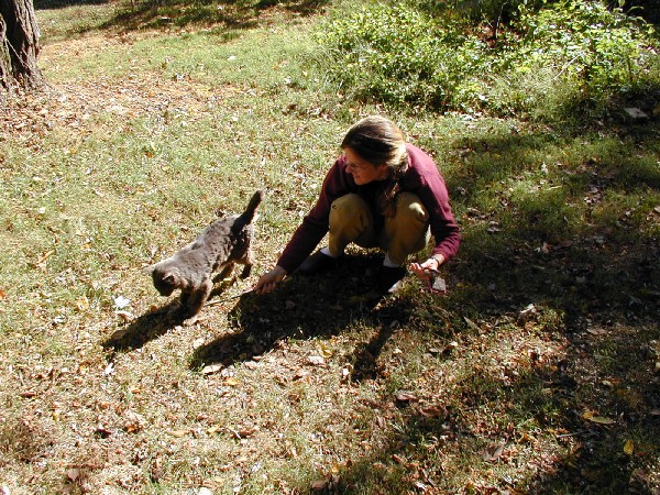 pa052692.jpg 154.6K