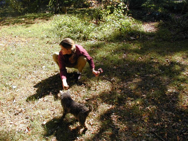 pa052693.jpg 142.2K