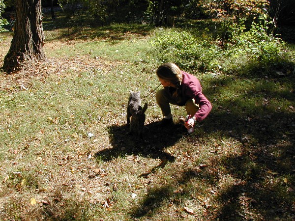 pa052694.jpg 147.4K