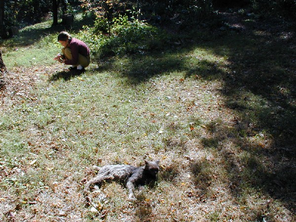 pa052702.jpg 142.7K