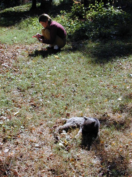 pa052704.jpg 155.1K