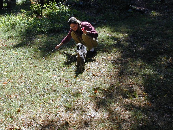 pa052705.jpg 138.0K