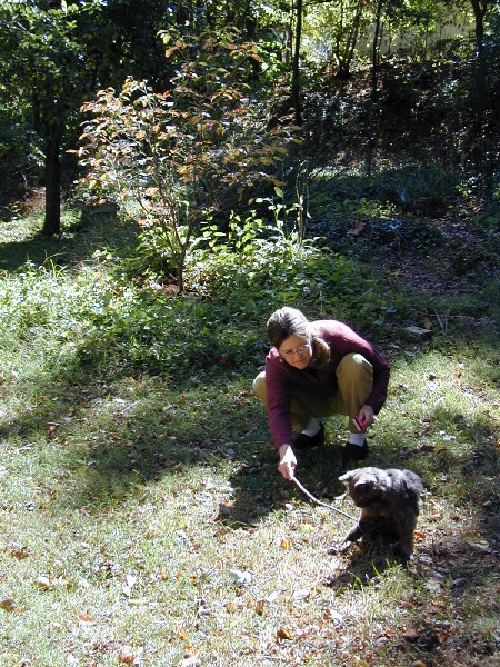 pa052706.jpg 147.7K