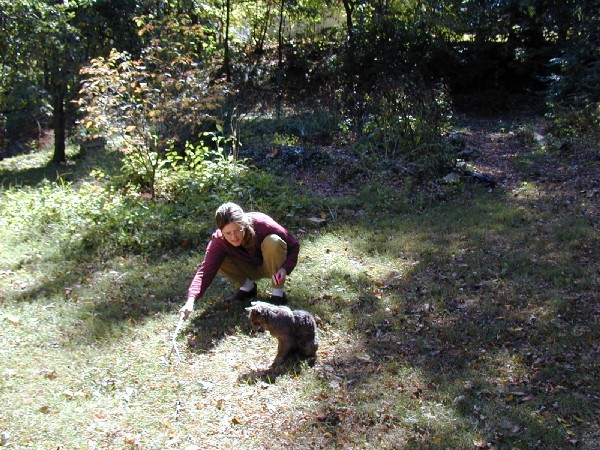 pa052707.jpg 125.8K