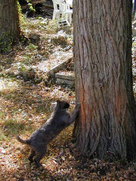 pa052715.jpg 127.6K