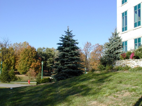 pa203081.jpg 87.7K