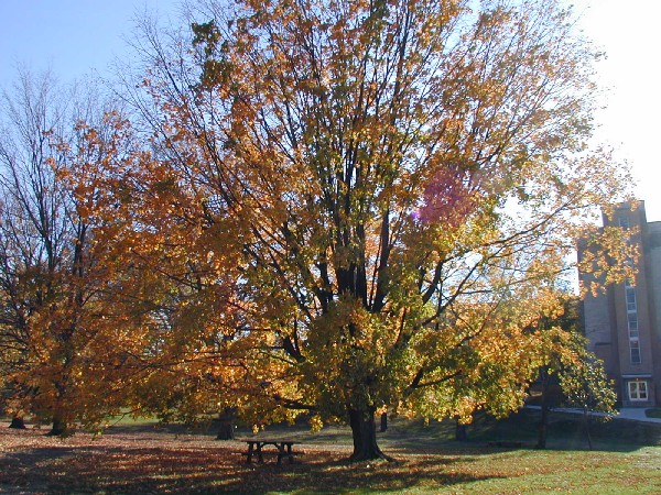pa203083.jpg 144.3K