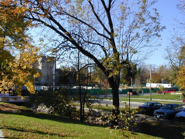 pa203084.jpg 143.5K
