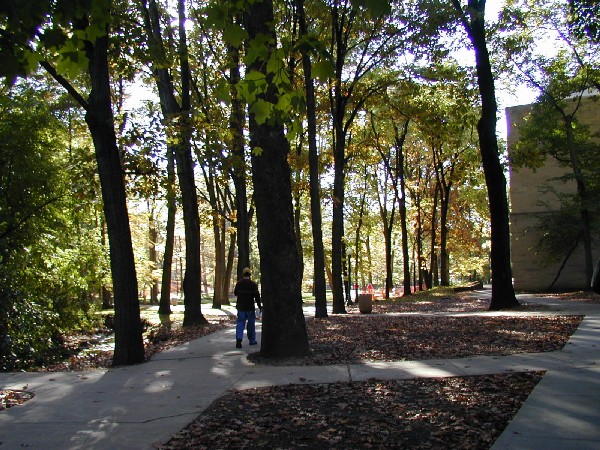pa203085.jpg 129.1K
