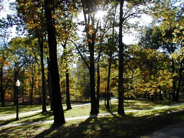 pa203086.jpg 144.1K