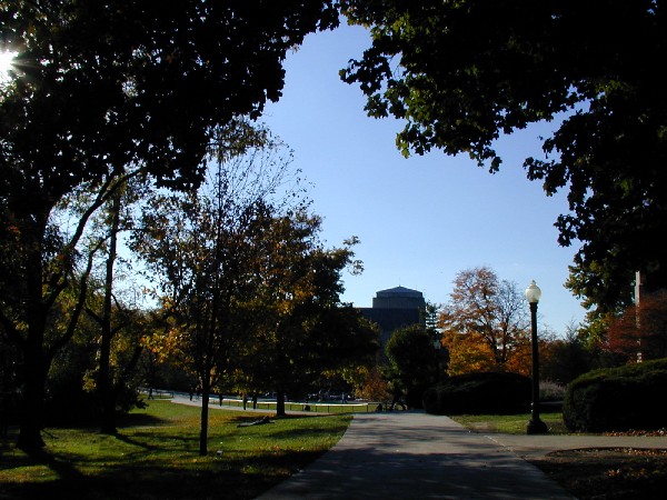 pa203089.jpg 90.1K
