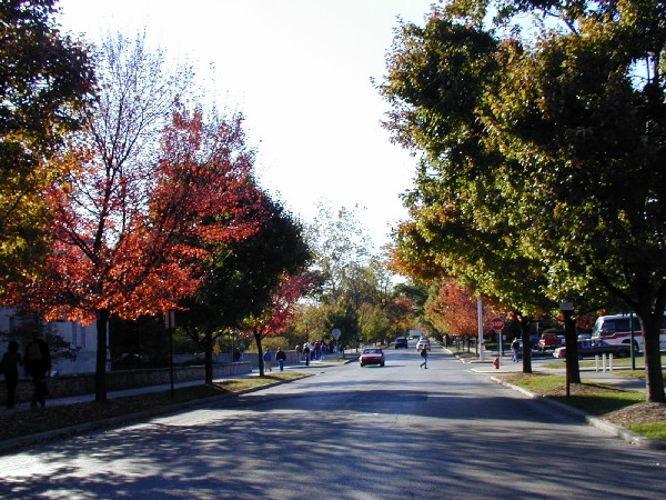 pa203091.jpg 113.3K