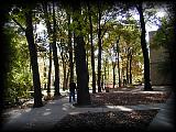 pa203085.jpg 7.8K